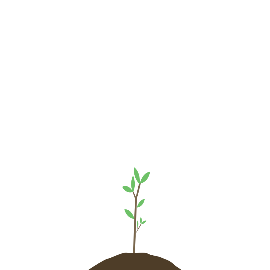 The Sprout plan