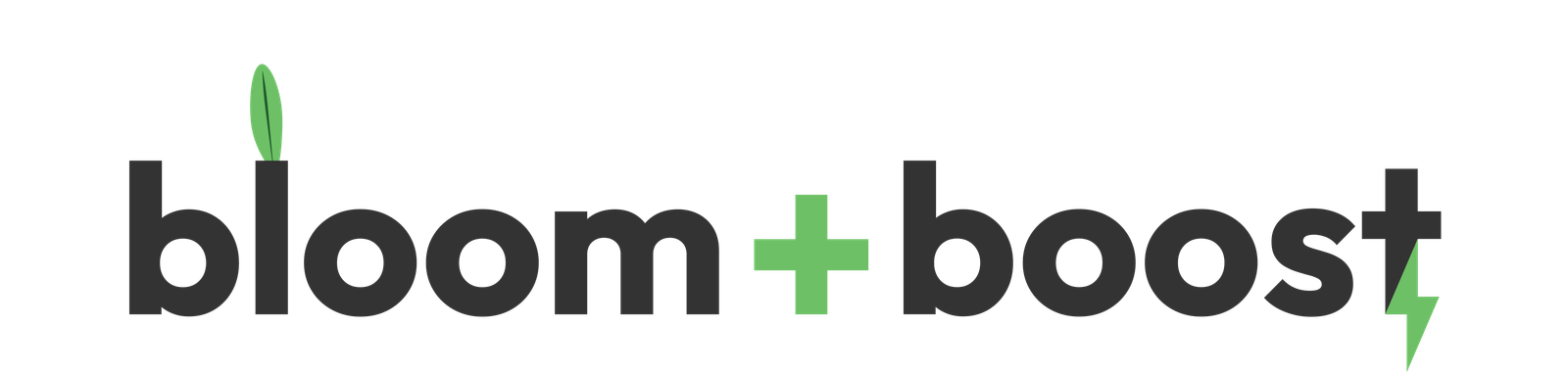 Bloom and Boost Logo for white background