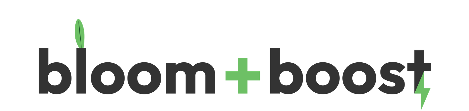 Bloom and Boost Logo for white background