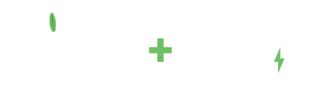 Bloom + Boost